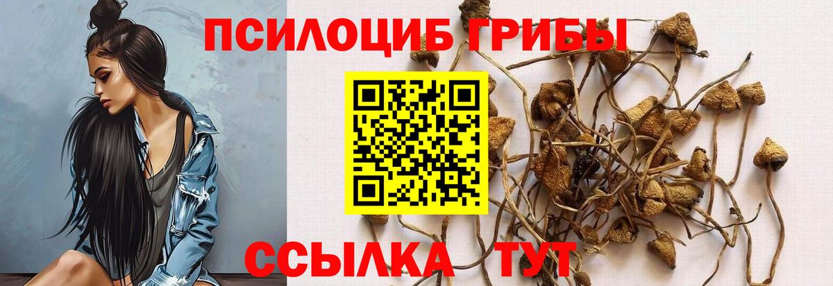 Галлюциногенные грибы прущие грибы Котельники