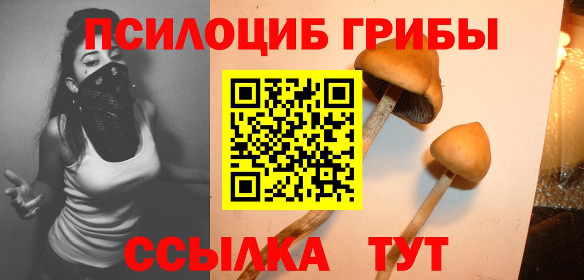 Котельники  Галлюциногенные грибы Psilocybe  Вход с VPN  Галлюциногенные грибы Cubensis 